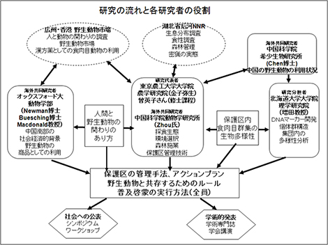 研究の流れと各研究者の役割